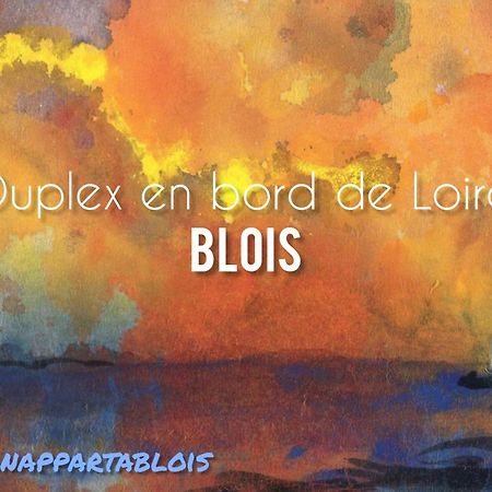 شقة Duplex 60 M2 Bord De Loire بلْوا المظهر الخارجي الصورة