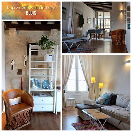شقة Duplex 60 M2 Bord De Loire بلْوا المظهر الخارجي الصورة