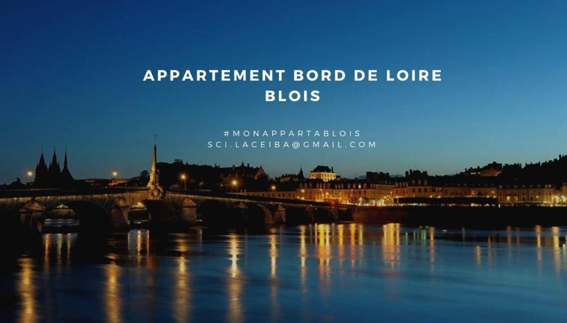 شقة Duplex 60 M2 Bord De Loire بلْوا المظهر الخارجي الصورة