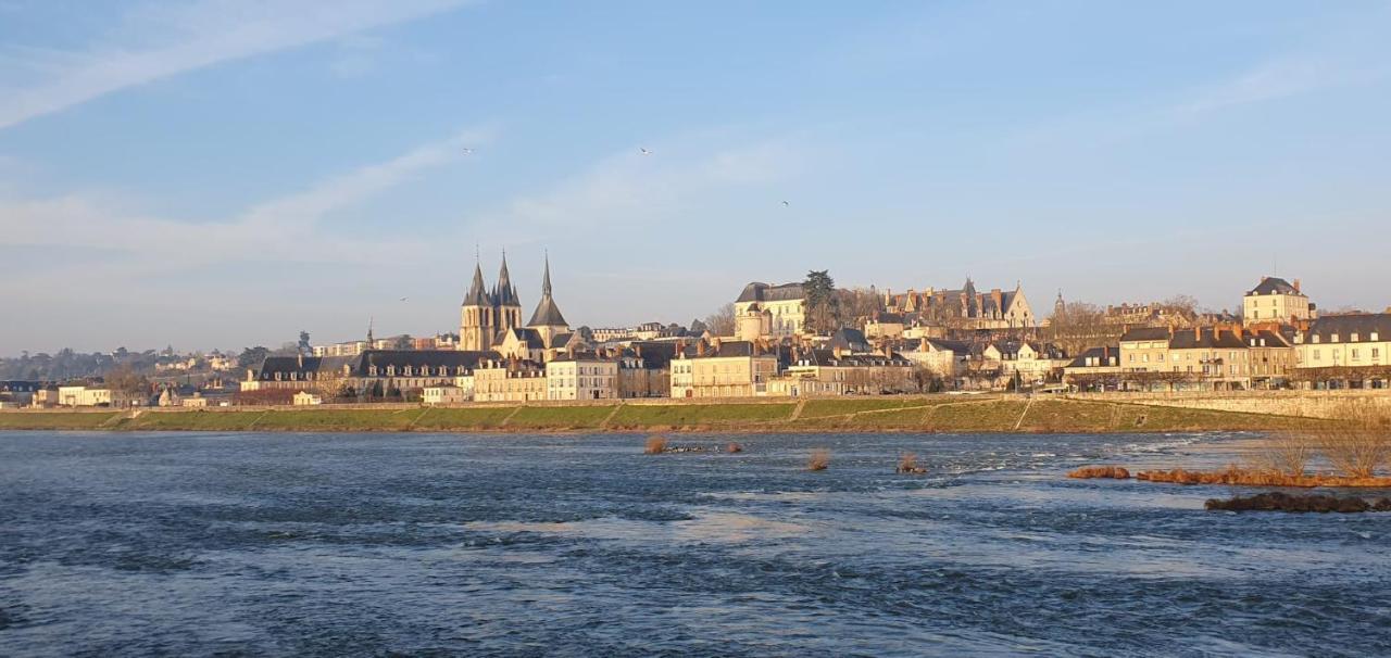 شقة Duplex 60 M2 Bord De Loire بلْوا المظهر الخارجي الصورة