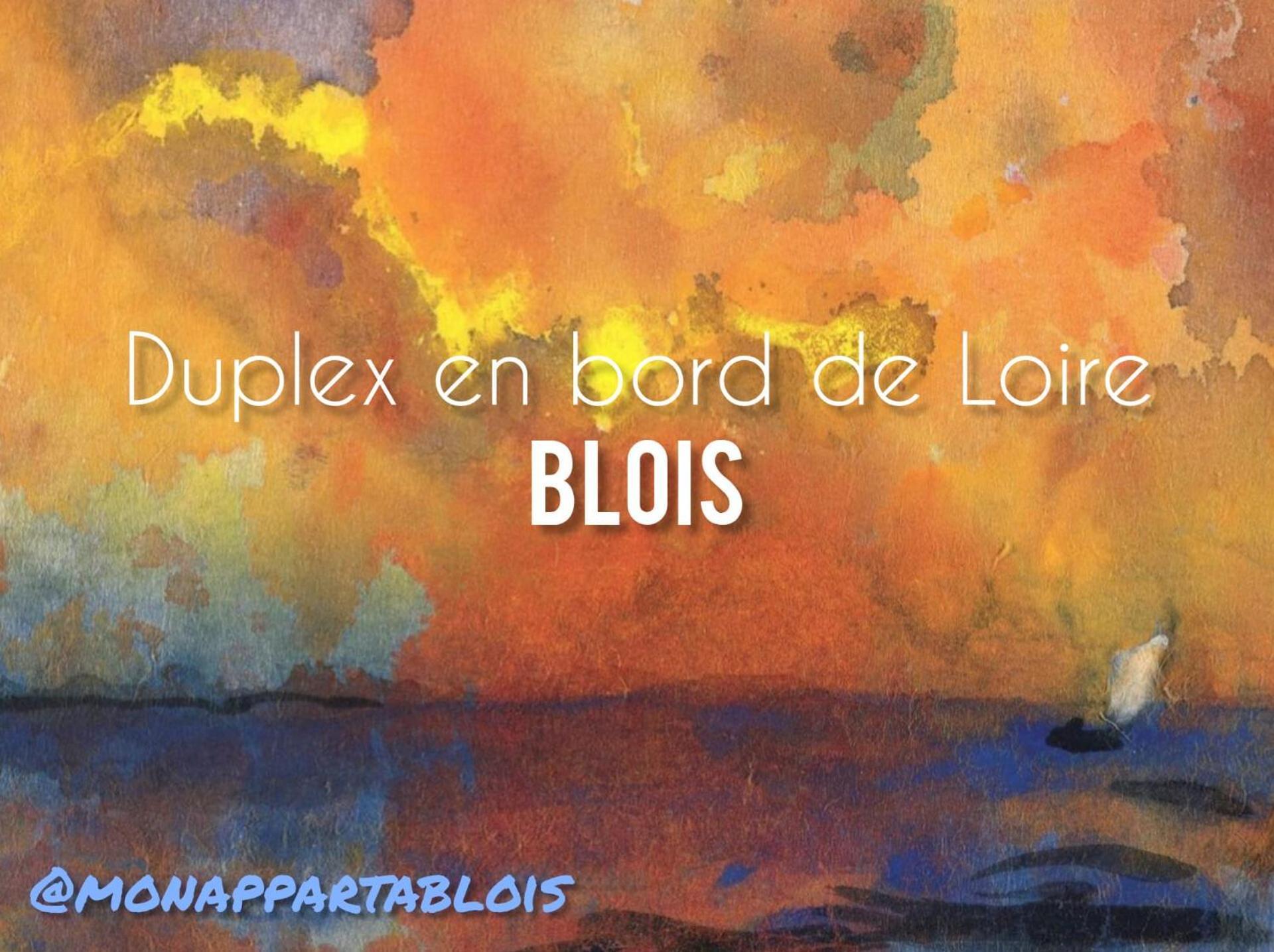 شقة Duplex 60 M2 Bord De Loire بلْوا المظهر الخارجي الصورة